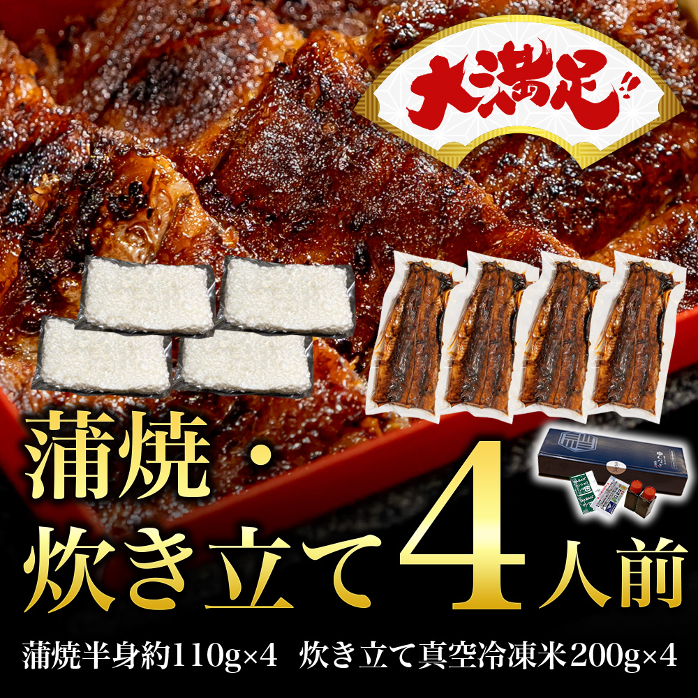 【大満足】蒲焼きうなぎの半身・炊き立てセット(4人前)
